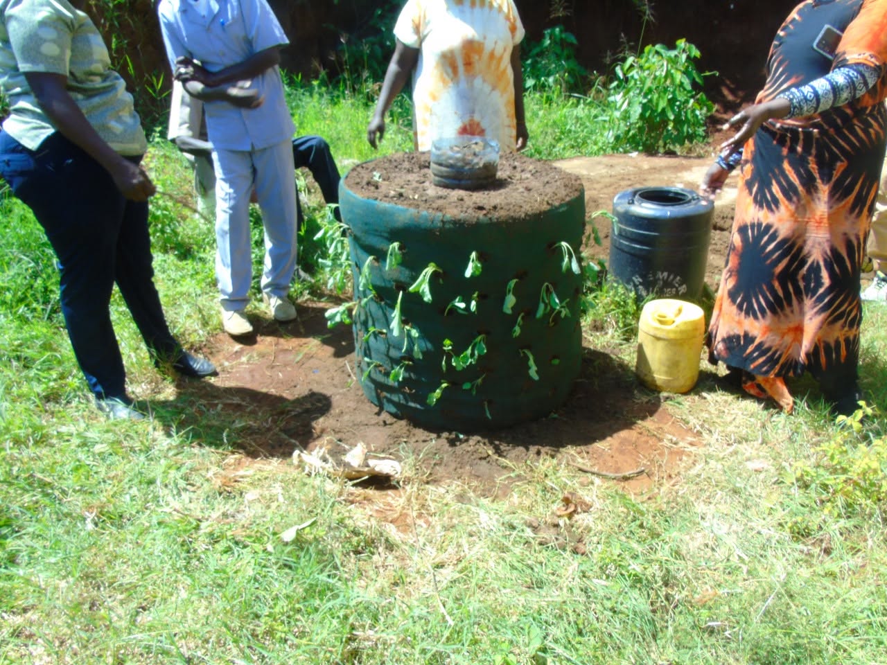 A finished sack garden with seedlings growing from its sides