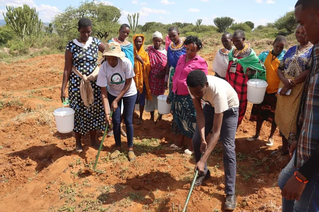 Women's groups in Leir Baawa, Samburu, October 2024